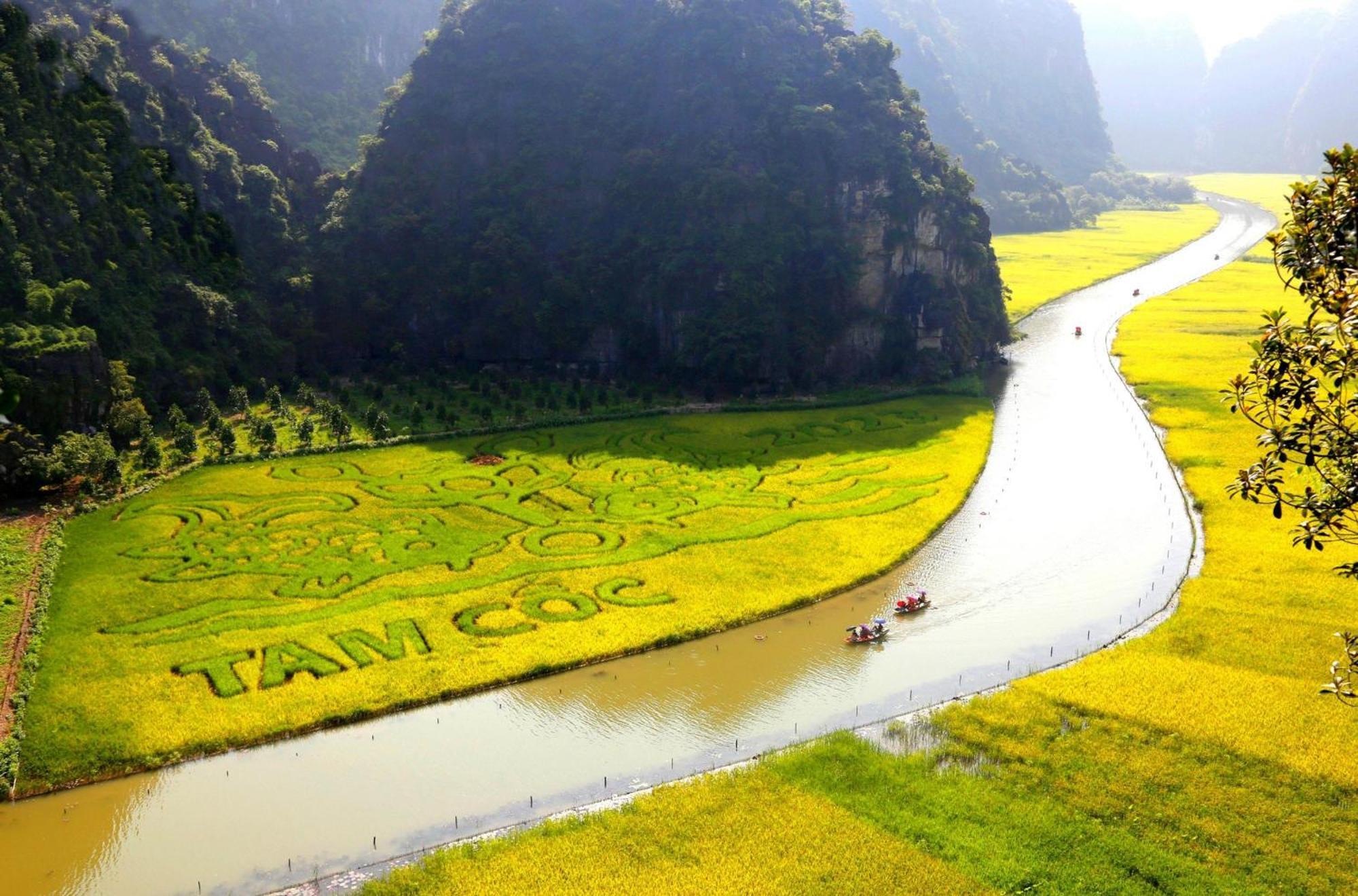 Truong Son Luxury Homestay نينه بينه المظهر الخارجي الصورة